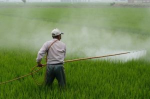Фото анализ рынка пестицидов