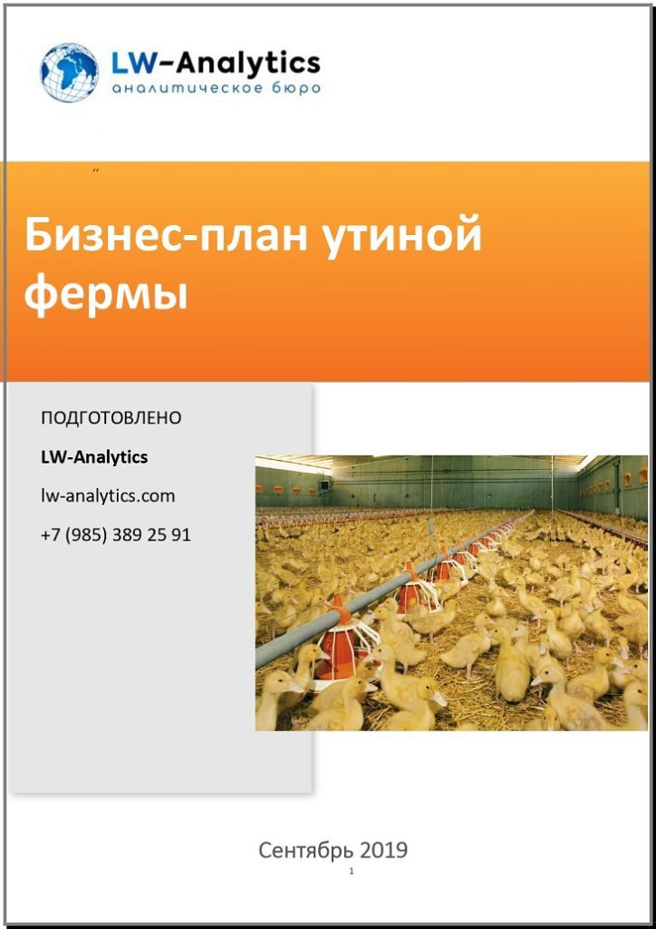 Обложка исследования "Бизнес-план утиной фермы"