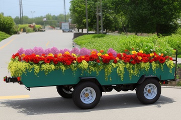 Фото анализ рынка транспортных компаний по перевозке цветов