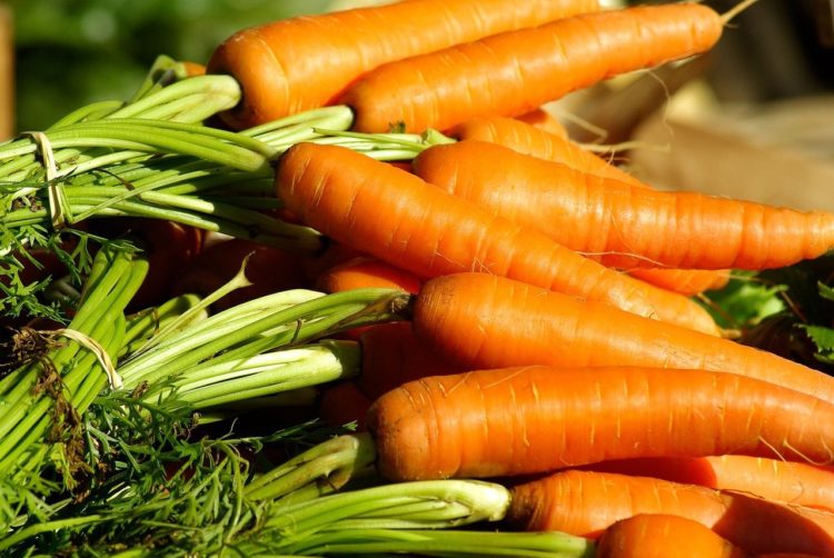 Фото анализ рынка моркови открытого грунта