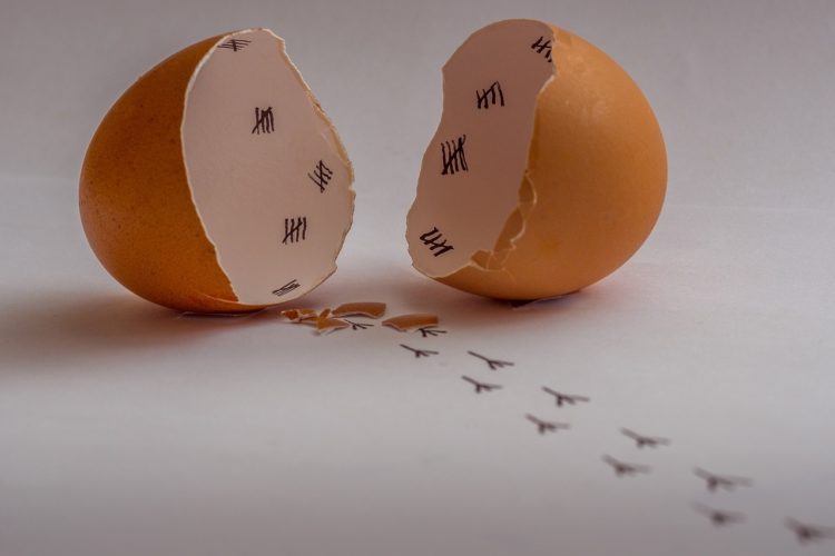 Фото российский рынок племенного инкубационного яйца