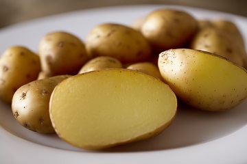 Фото анализ рынка картофелеводства
